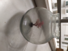 Round Fish Bowl Jaar